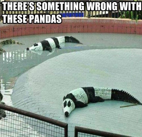 Något är fel med pandan