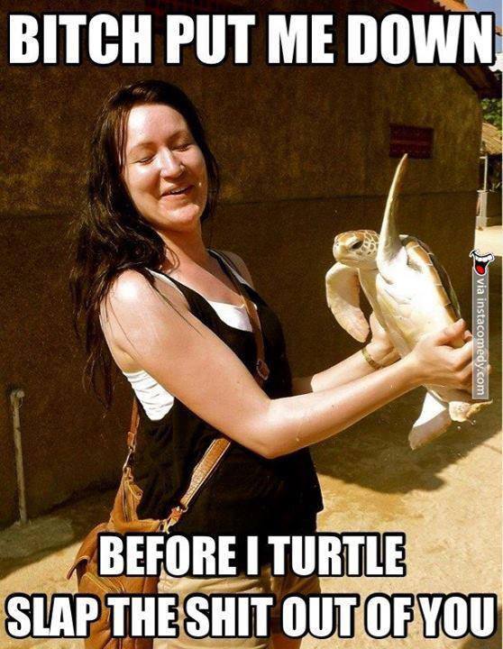 Turtle slap