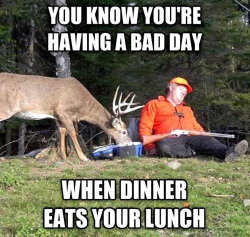 När maten äter din lunch
