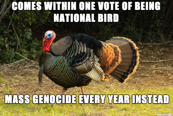 Bad luck turkey