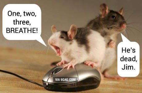 Mus försöker rädda en mus