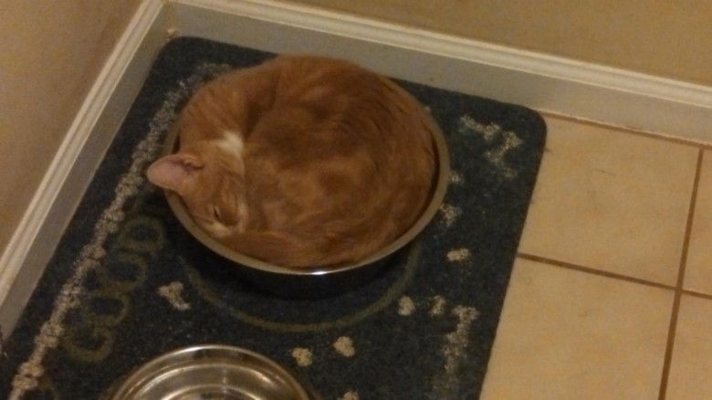 If i fits i..