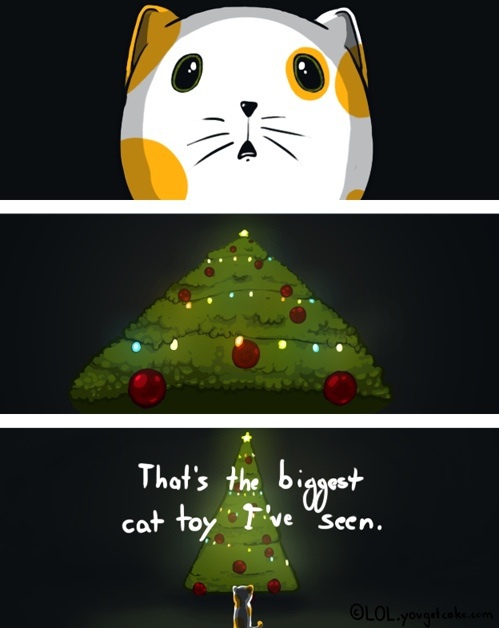 Hur katter ser julen