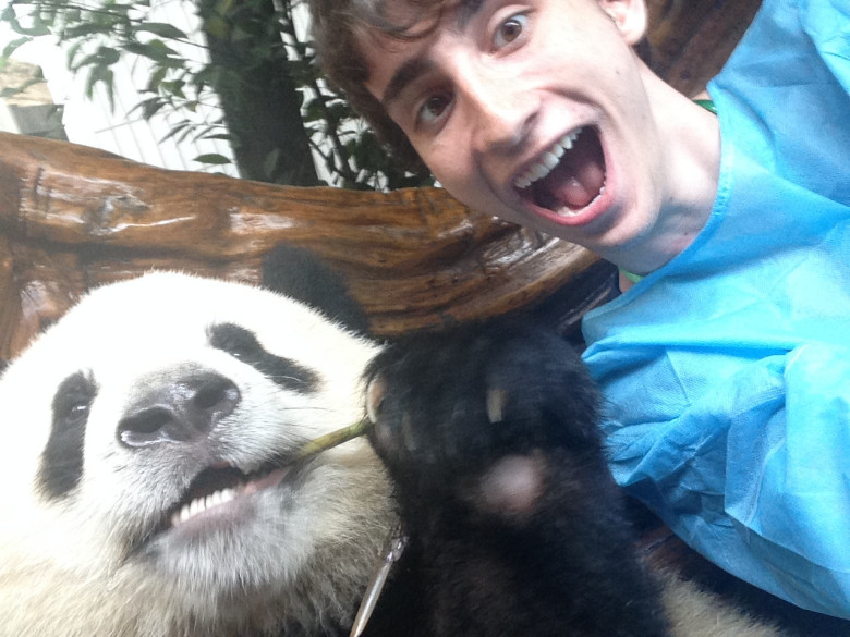 Panda Selfie