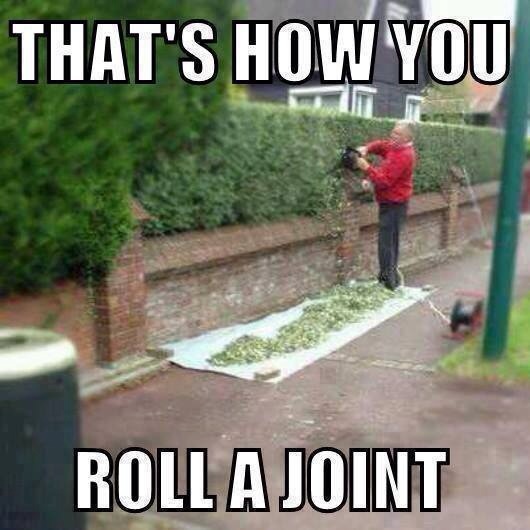 Det är så man rullar en joint!