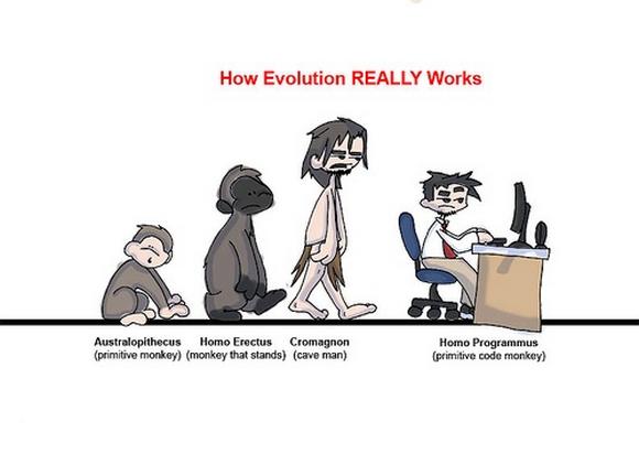 Игра мемы эволюция. Эволюция программиста. Эволюция юмор. Анекдоты про эволюцию. Мемы про эволюцию.