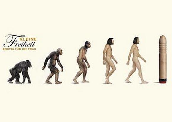 Roliga evolutionsbilder