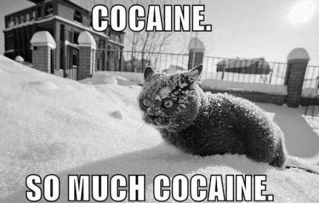 Kokain i överflöd!