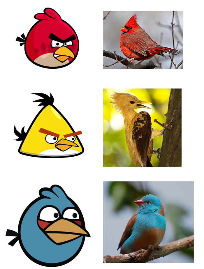 Angry Birds IRL