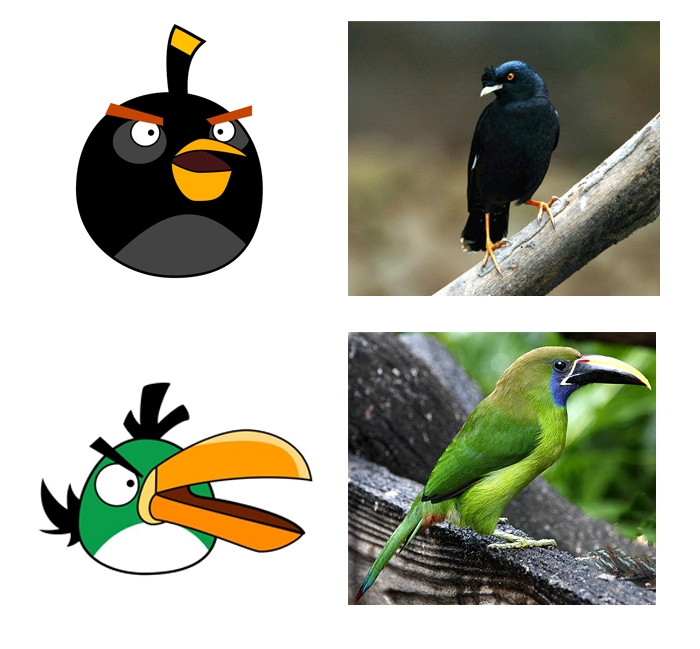 Angry Birds IRL