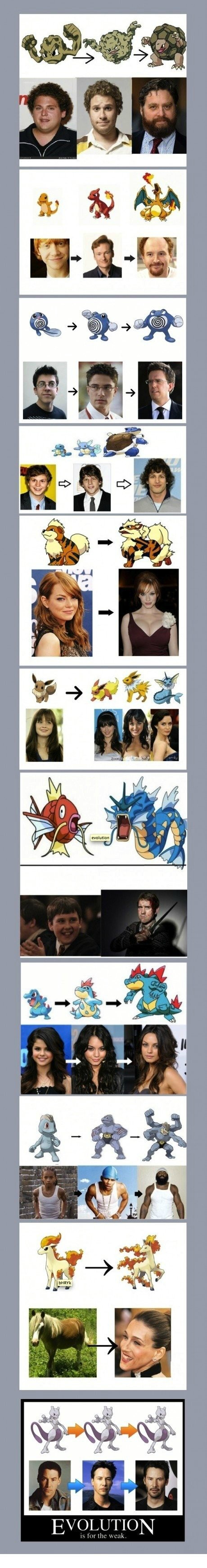 The evolution of celebrities