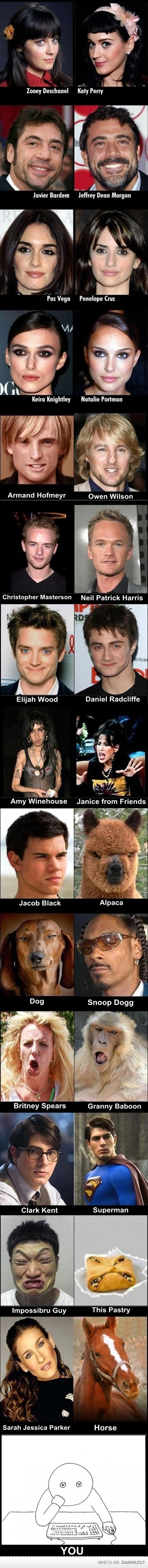 Celebrity lookalikes