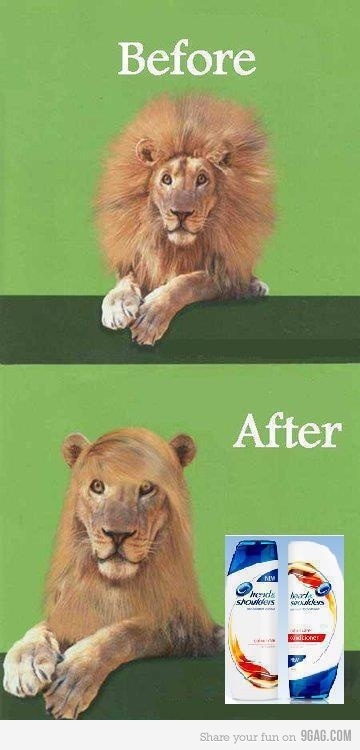 Head&Shoulders