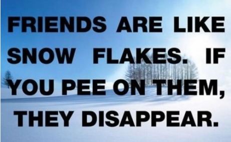 Friends are like snowflakes...